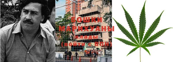 эйфоретик Покачи