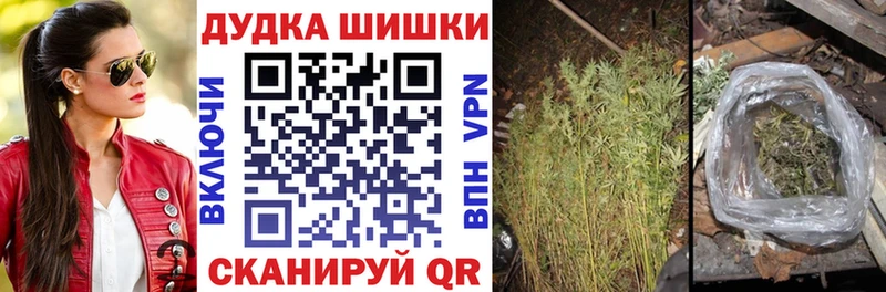 Шишки марихуана план  где можно купить   Серов 